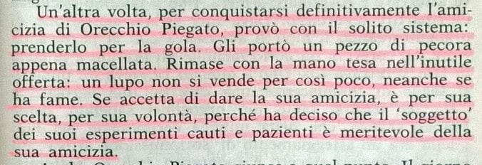 Gianni Padoan - Il Branco Della Rosa Canina - pag. 115