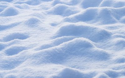 La neve se ne frega, il romanzo distopico di Luciano Ligabue